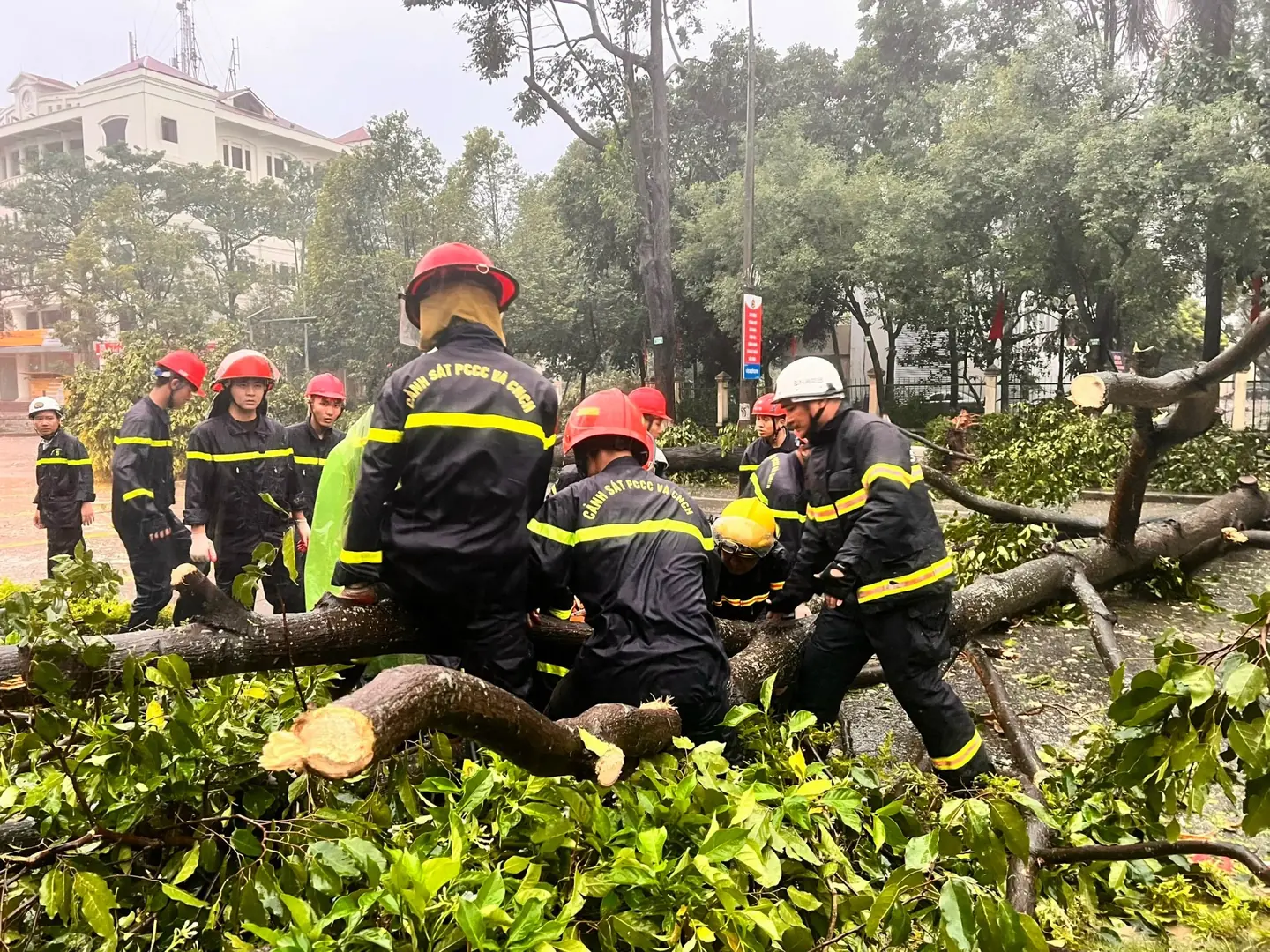 Đài PTTH Hà Nội